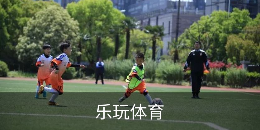 乐玩体育概况